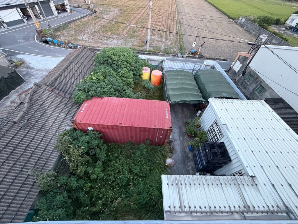 照片 8/9
